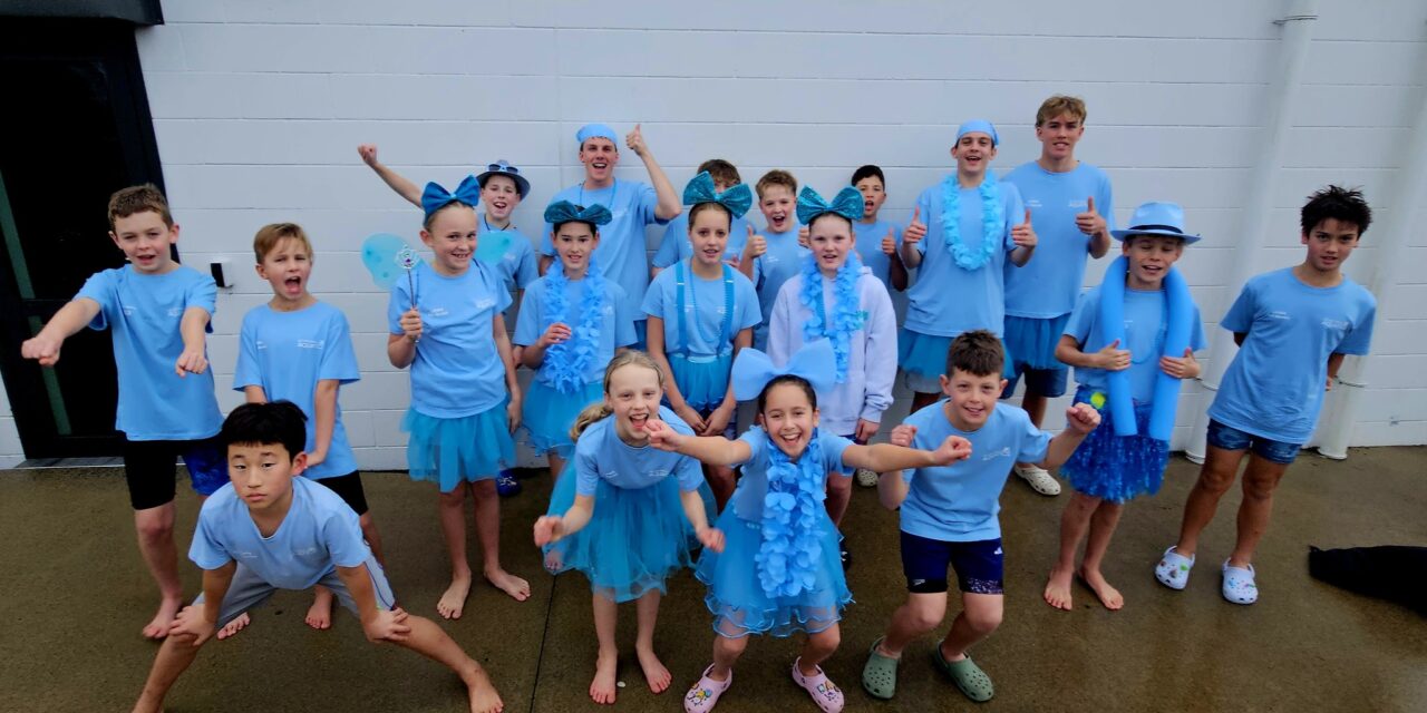 dolphins-team